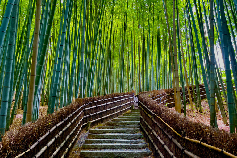 Tour a pie por la mañana temprano en Kioto: Naturaleza e HistoriaExcursión matinal