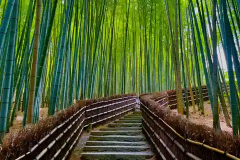 Excursão em inglês para madrugadores a Quioto: Fushimi-Inari e Arashiyama
