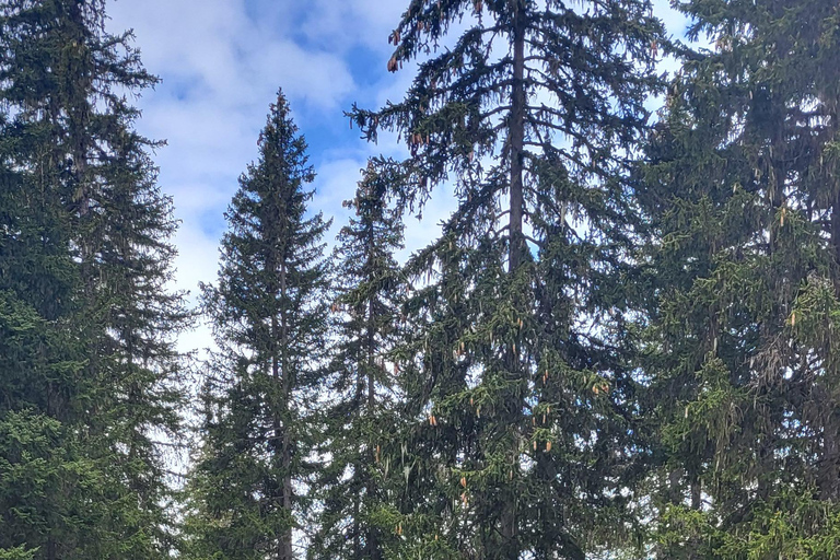 Prywatna jednodniowa wycieczka w Alpy Francuskie Courchevel