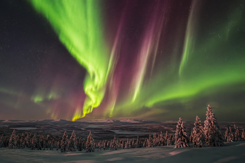 Northern Lights Hunt – Small Mixed Group from Kemi