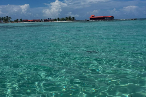 Panama City: San Blas Tropical Adventure – 3 Islands with Lunch at a Local Restaurant Tropical Adventure in Guna Yala: 3 Islands with Lunch at a Local Restaurant
