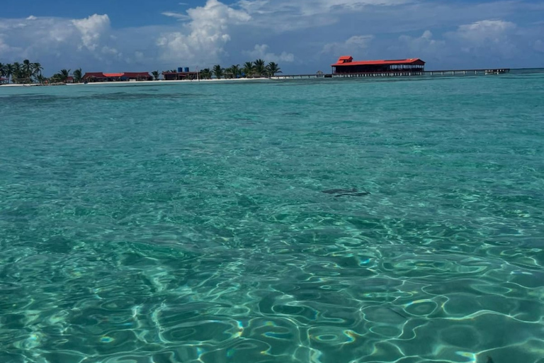 Panama City: San Blas Tropical Adventure – 3 Islands with Lunch at a Local Restaurant Tropical Adventure in Guna Yala: 3 Islands with Lunch at a Local Restaurant