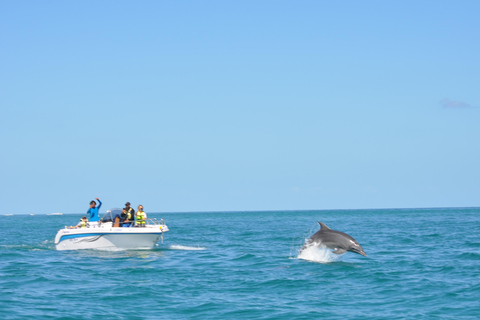 Djerba: Half-Day Boat Trip, Dolphin Watching, Swimming, and Lunch