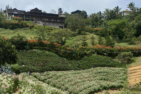 Cebu: Adventure Escape 4 Days & 3 Nights All-In Experience