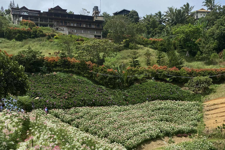 Cebu: Adventure Escape 4 Days & 3 Nights All-In Experience