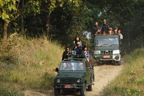 Chitwan Jungle safari 2 Nights 3 Days from Kathmandu Jungle safari 2 Nights 3days from Kathmandu