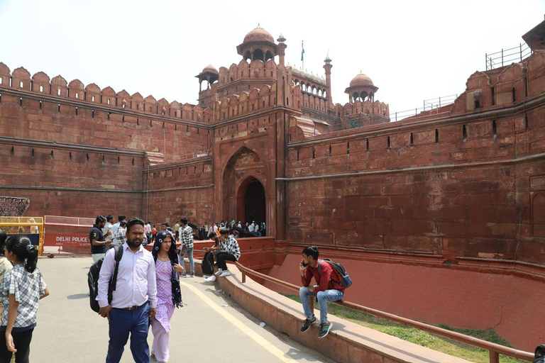 8-Day Golden Triangle Tour With Ranthambore & Jhalana Safari Tour With 3-Star Hotel Recommendation