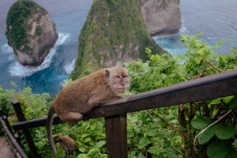From Lembongan: Manta Point Snorkeling & West Penida Tour Snorkeling and West Land Tour with Hotel Pickup and Drop-Off