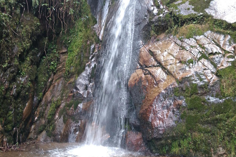 Papallacta: Nature Experience with Hike and Lunch