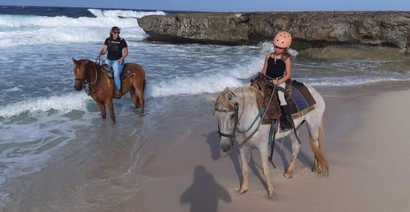 Aruba: 1.5-Hour Horseback Riding Tour to Urirama Cove Beach
