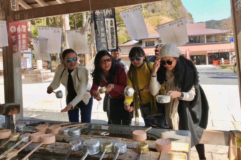 Wakayama & Koyasan: Private Tour with Hotel Pickup & Lunch