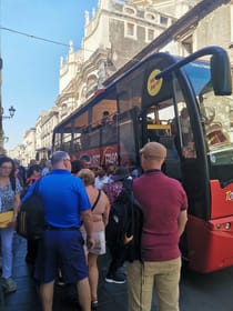 From Catania: Panoramic Bus to Etna, Free Time & Audio Guide