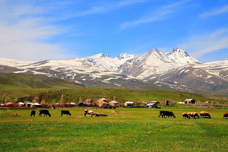 埃里温：安贝尔德堡垒、阿拉加茨山和卡里湖之旅