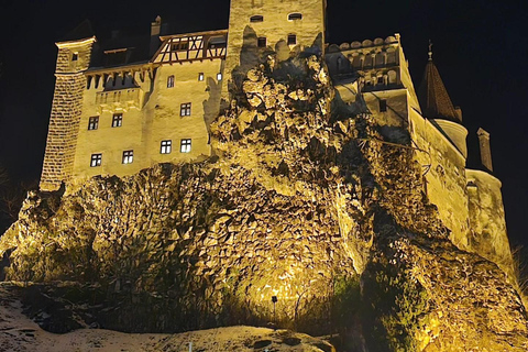 Brașov: Bear Sanctuary and Bran Castle With Tickets