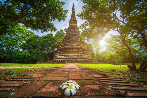 Chiang Mai: Old City Temples Tuk Tuk Half-Day Tour