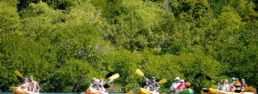 St John's, Antigua : kayak, snorkeling et plage de Bird Island