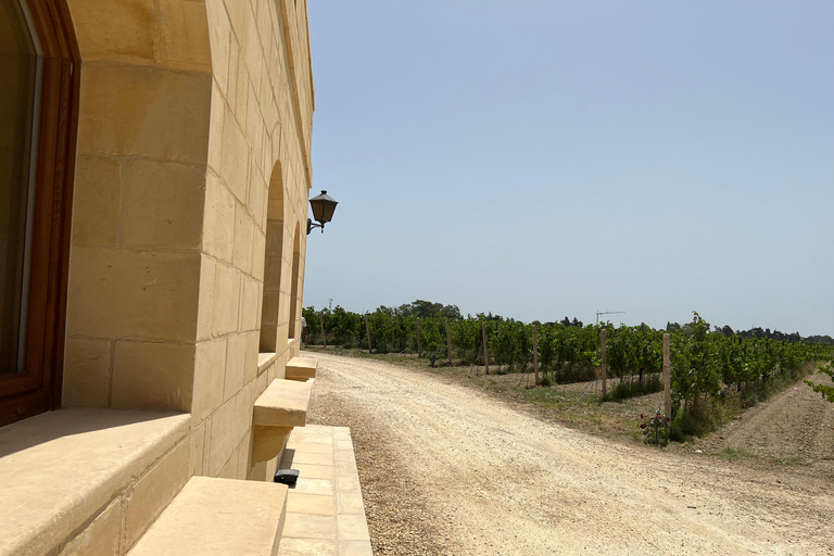 Vin avec des raisins maltais TOUR EN PORTUGAL