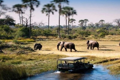8 Daagse Tour naar Tarangire, Ngorongoro, Serengeti Nationaal Park