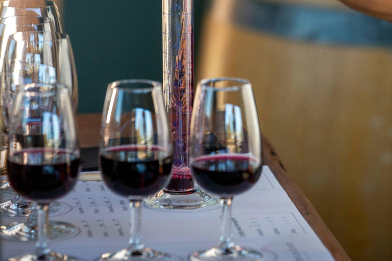 Wine Blending Workshop at Mandoon Estate