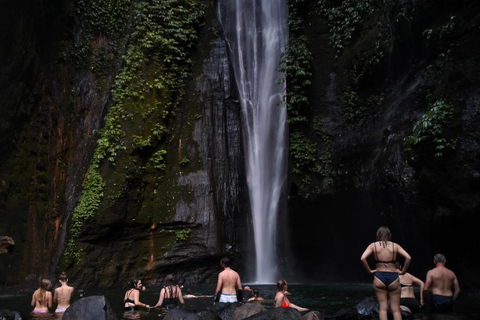 Trekking na selva em SekumpulTrekking na Cachoeira Sekumpul com tudo incluído