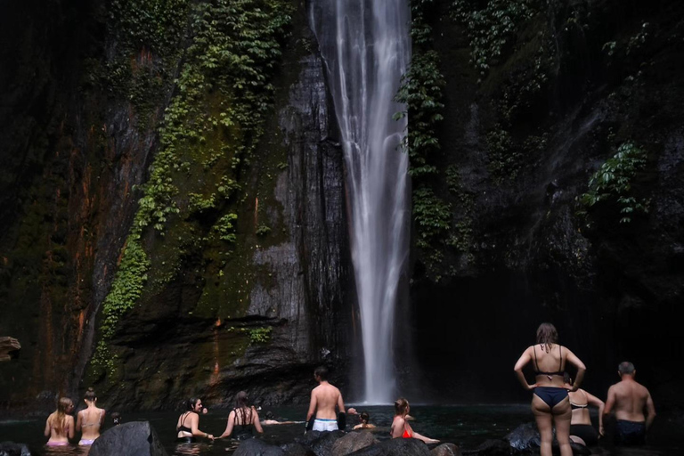 Trekking na selva em SekumpulTrekking na Cachoeira Sekumpul com tudo incluído