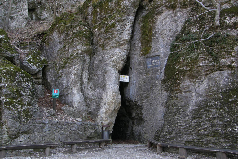 From Vienna: Bratislava & Countryside Guided Half Day Tour Private Tour