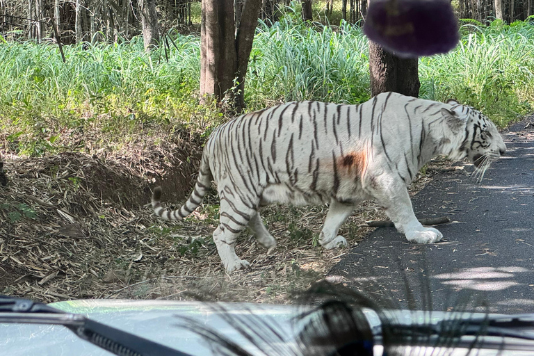 Safari en Jeep por la Vida Salvaje en Bannerghatta con Traslado Privado