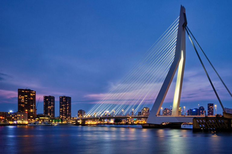 Lo Mejor de Róterdam: Visita privada a pie con un lugareñoVisita privada a pie por la ciudad - 2H