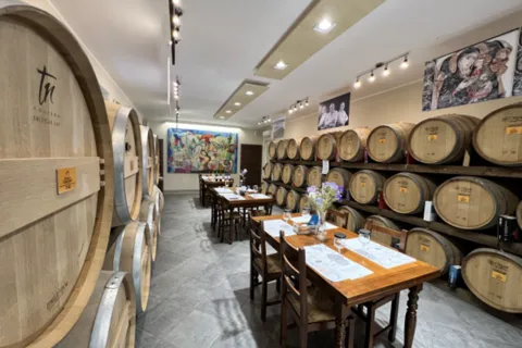 TOUR DEL VINO CON DEGUSTAZIONE E TRASFERIMENTO
