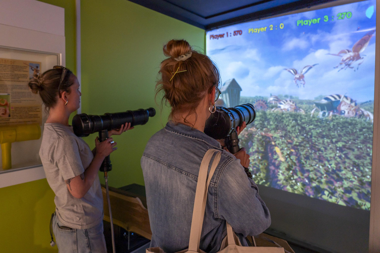 布鲁塞尔薯条博物馆：含薯条博物馆门票及品尝体验布鲁塞尔薯条博物馆：博物馆门票含品尝体验