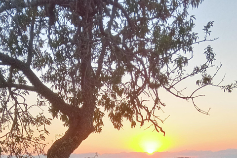 Mallorca: Randa Romántico Paseo a Caballo al Atardecer con Copas