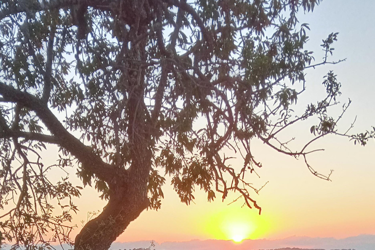 Mallorca: Randa romantische zonsondergang paardrijden met drankjes