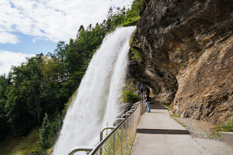 Scenic Hardanger Fjord, Waterfalls, and Orchards Day Trip