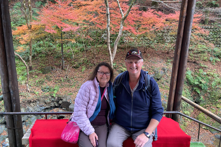 Kyoto: Private Tour with Licensed Guide & Vehicle Regular Car (Up to 2)