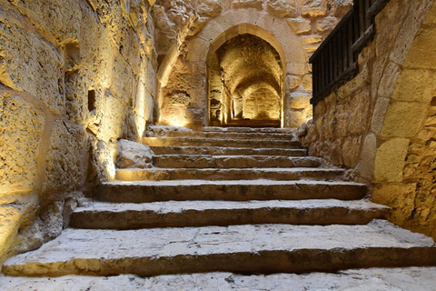 Private or Group: Jerash, Ajloun Castle & Umm Qais day Tour Sharing/Group: Jerash, Ajloun &Umm Qais (10 H)