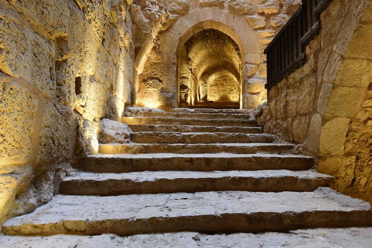 Private or Group: Jerash, Ajloun Castle & Umm Qais day Tour Sharing/Group: Jerash, Ajloun &Umm Qais (10 H)