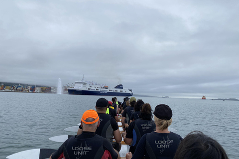 Wellington: Tour guiado em Waka (experiência cultural maori)