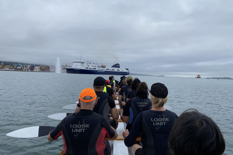 Wellington: Tour guiado em Waka (experiência cultural maori)