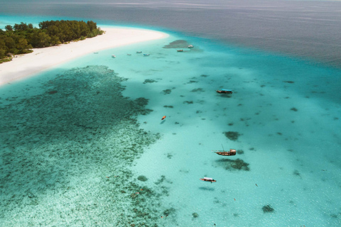 桑给巴尔：与海豚一起游泳，在珊瑚礁浮潜（以尊重的方式）桑给巴尔：与海豚同游，珊瑚浮潜（不含接送服务）