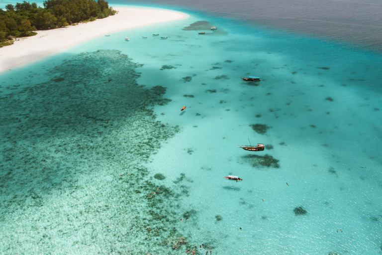 桑给巴尔：与海豚一起游泳，在珊瑚礁浮潜（以尊重的方式）桑给巴尔：与海豚同游，珊瑚浮潜（不含接送服务）