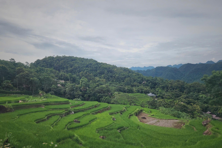 2 Day Trekking In Pu Luong Loop & Overnight At Homestay Start from Hanoi - Pu Luong