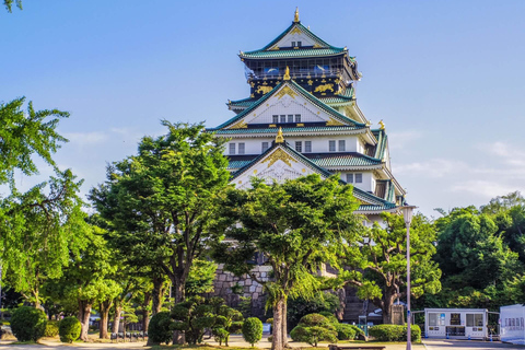 1-Day walking tour in Osaka：Castle, temples and Ukiyoe Join from Shin-Osaka Station