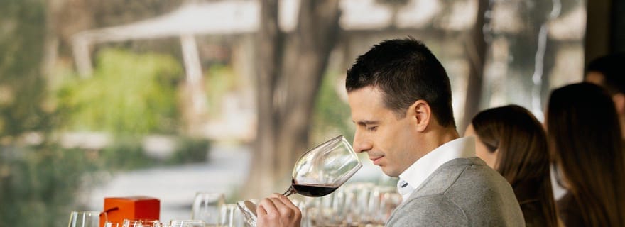 Expérience Marqués de Casa Concha