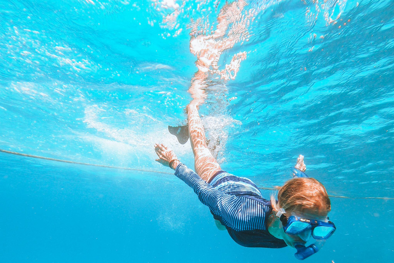 El Gouna : aventure de plongée avec tuba en mer Rouge avec transfertsIncluant les transferts et le déjeuner