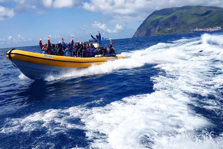 Passeios Turísticos: Ausflug nach Corvo mit dem Boot