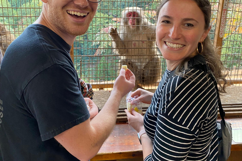 Kyoto : Visite à vélo de la forêt de bambous et du parc des singes dans l'après-midi