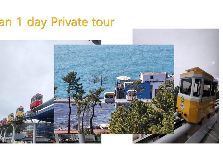 Busan private Tour mit einem lizenzierten TourguideEnglischsprachiger Tourguide