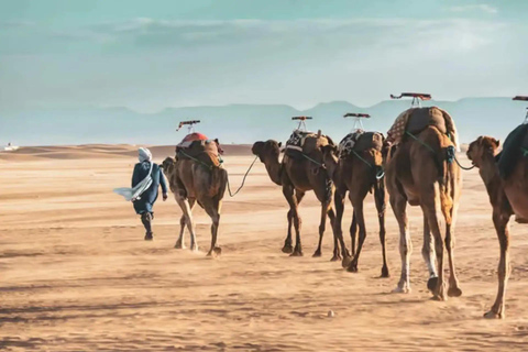 From Marrakech: 3-Day Sahara Desert Tour with Camel Ride 3-Day Private Premium Desert Tour to Merzouga