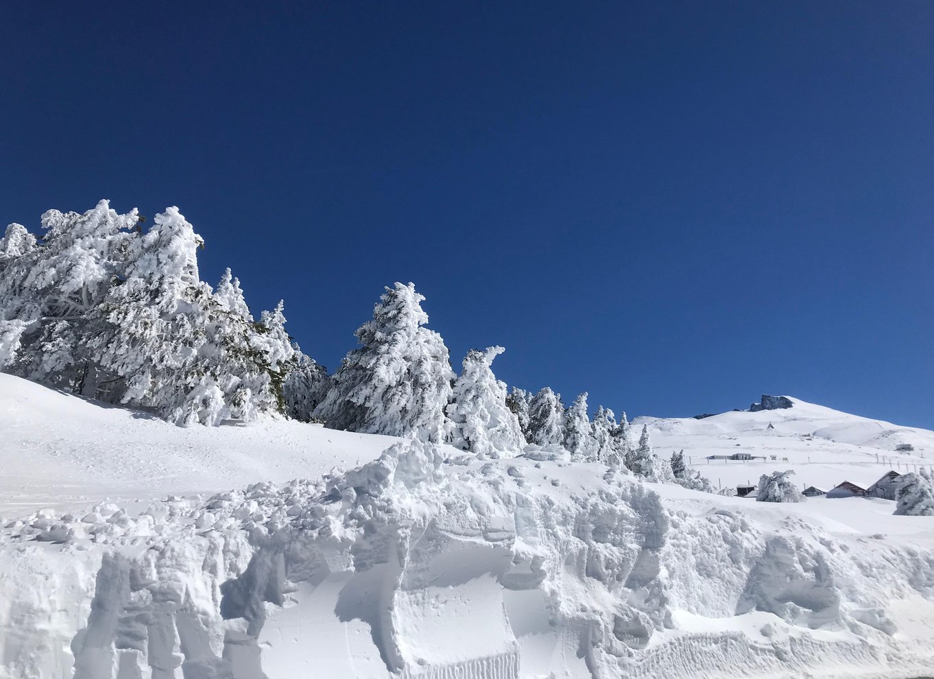 Fra Granada: Sierra Nevada Safari Tour til 2500 meters højde