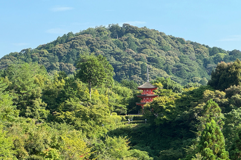 Kyoto: Gion Highlights & Hidden Treasures Guided Tour Group Tour